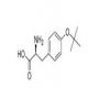 O-芐基-L-酪氨酸芐酯鹽酸鹽-CAS:52142-01-5