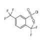 2,5-雙三氟甲基苯磺酰氯-CAS:351003-22-0